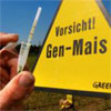 Gentechnisch veränderter Reis illegal in Supermärkten